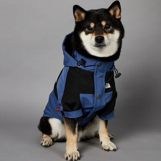 Waterproof Dog Coat Bella