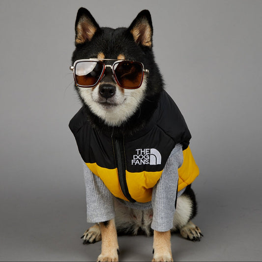 Waterproof Dog Coat Teddy