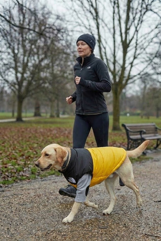 Waterproof Dog Coat Teddy