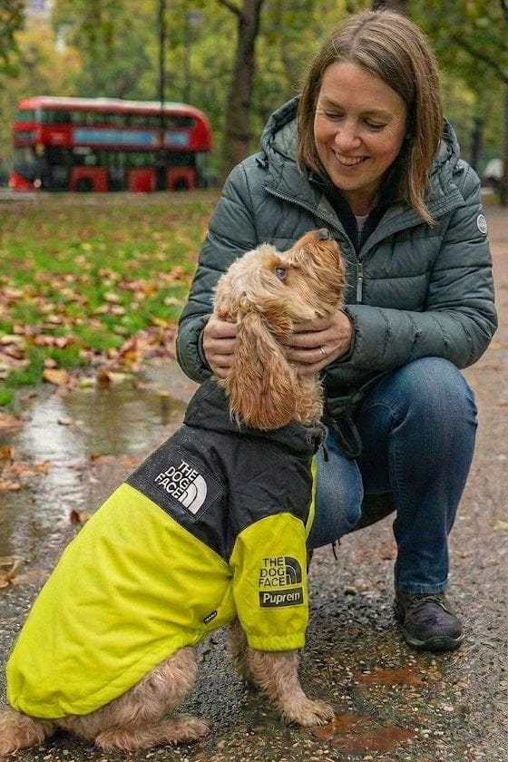 Waterproof Dog Coat Poppy