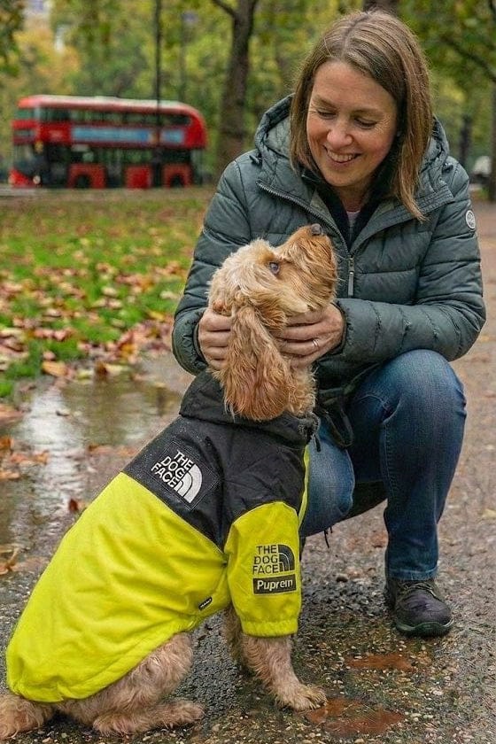 100% Waterproof Dog Coat - No Leaks, Even in Heavy UK Rain