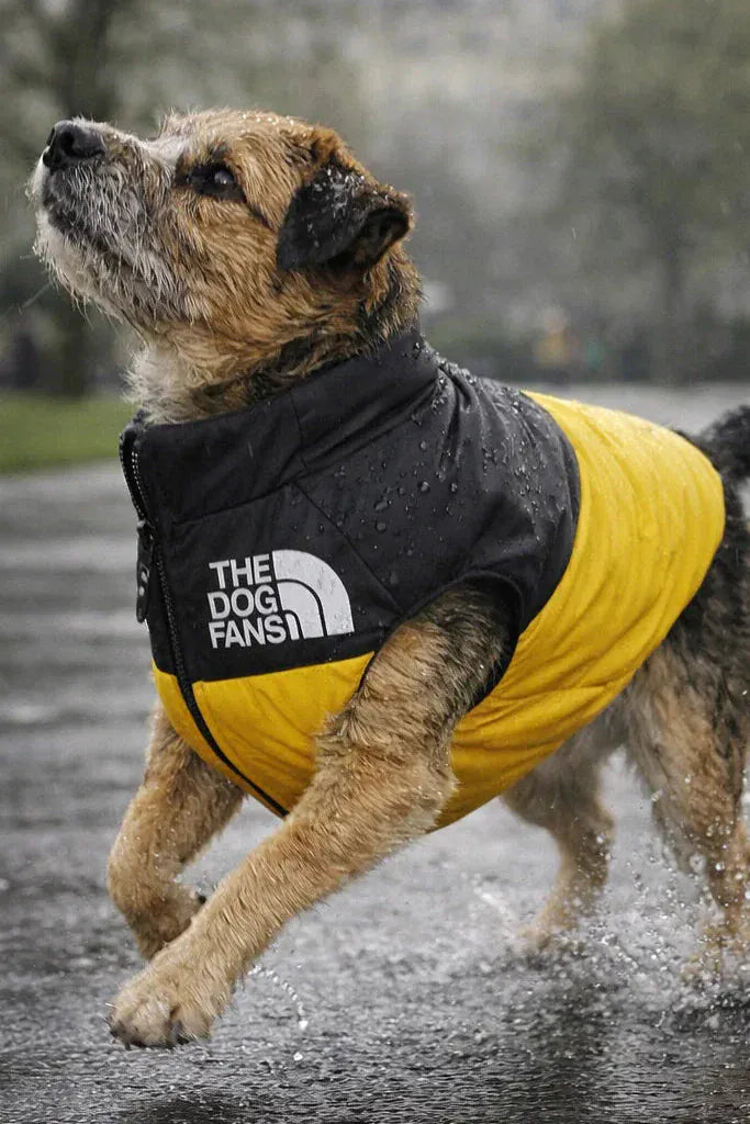 Waterproof Dog Coat Teddy