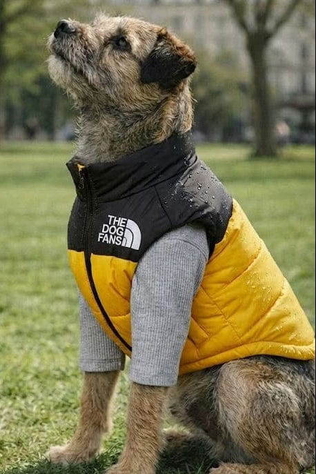 Waterproof Dog Coat Teddy