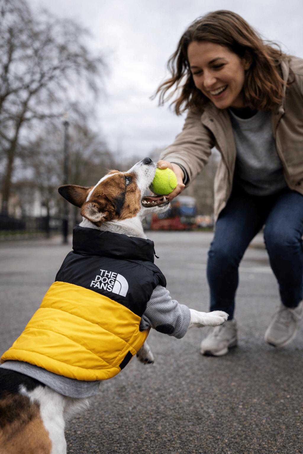 Waterproof Dog Coat Teddy