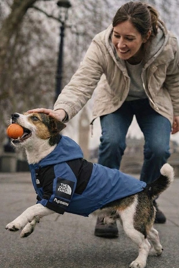 Waterproof Dog Coat Bella