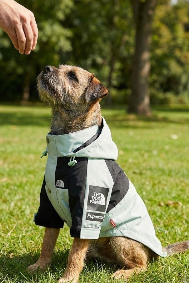 100% Waterproof Dog Coat - No Leaks, Even in Heavy UK Rain