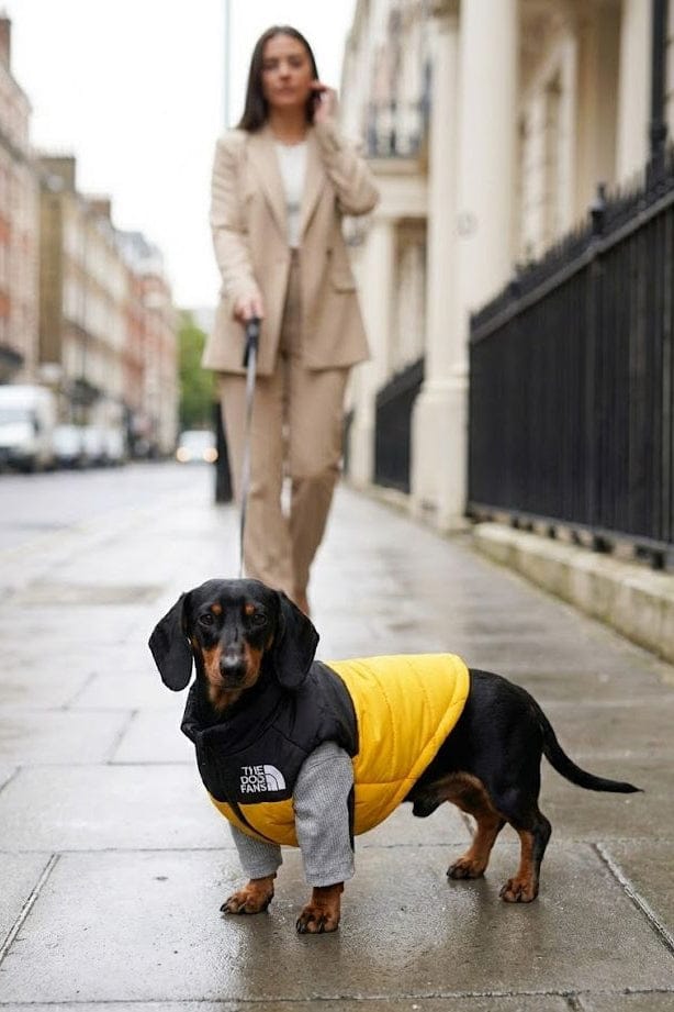 Waterproof Dog Coat Teddy