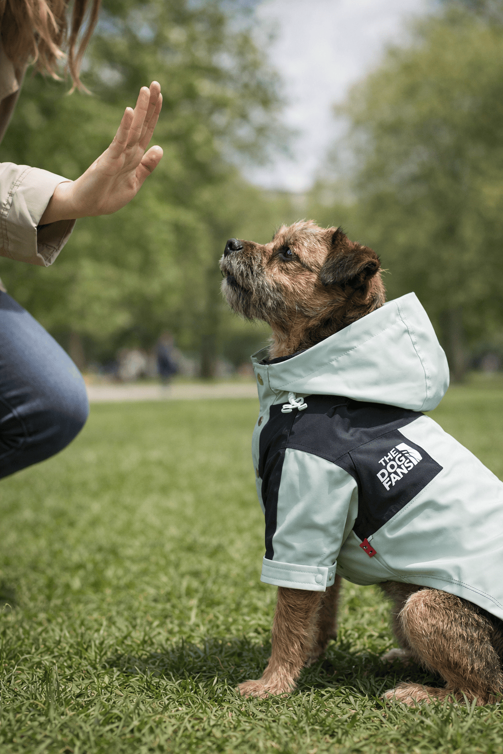 100% Waterproof Dog Coat - No Leaks, Even in Heavy UK Rain
