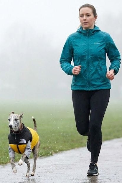 Waterproof Dog Coat Teddy