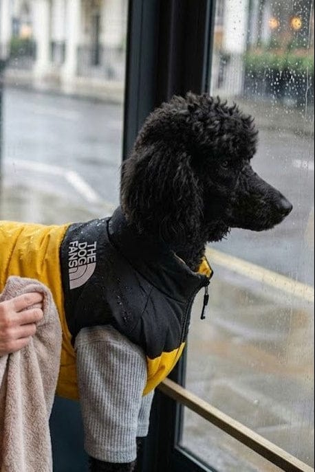 Waterproof Dog Coat Teddy