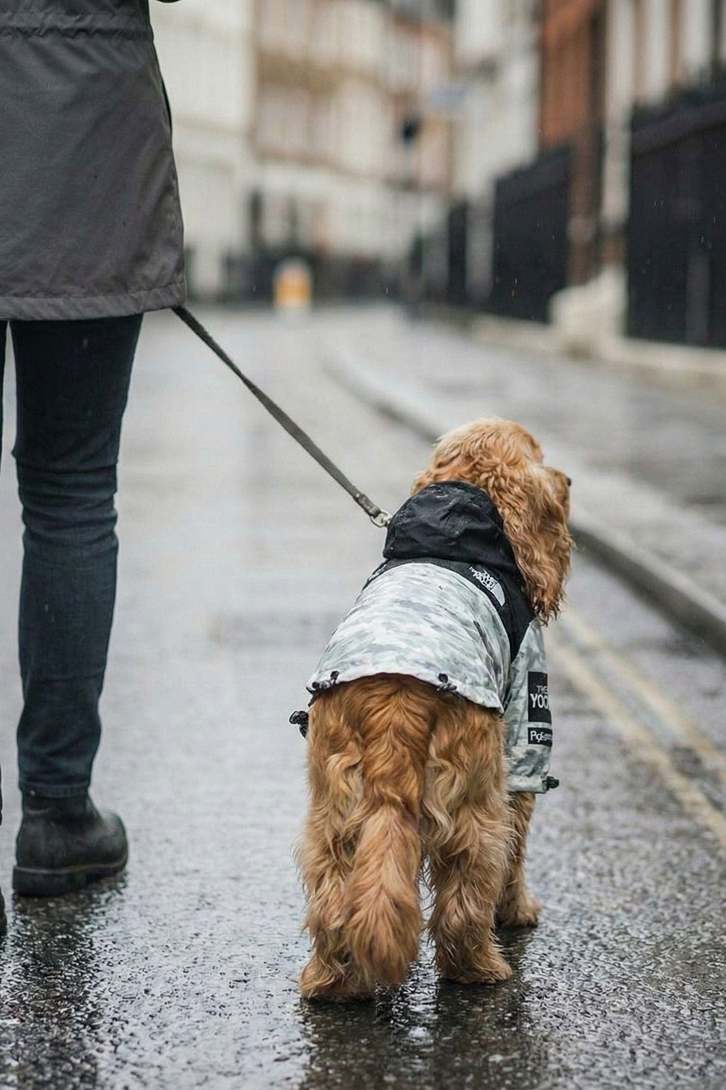 Waterproof Dog Coat Luna