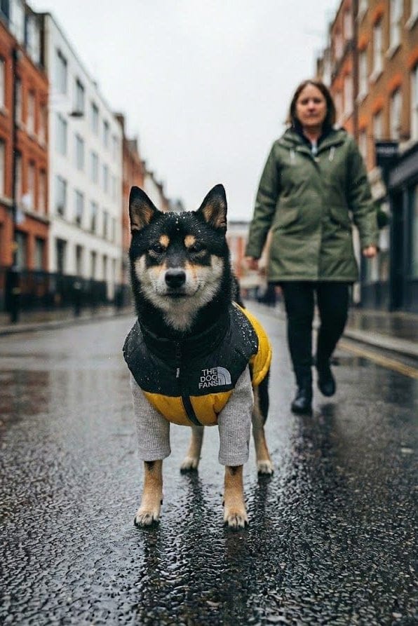Waterproof Dog Coat Poppy