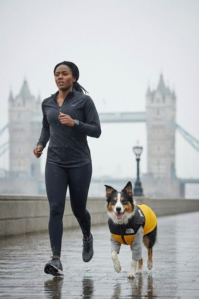 Waterproof Dog Coat Teddy