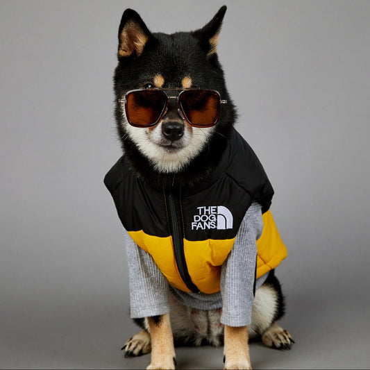 Waterproof Dog Coat Teddy